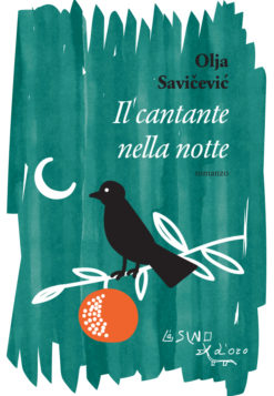 Il cantante nella notte