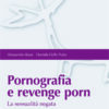Pornografia e revenge porn
