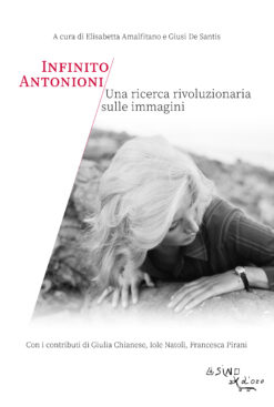 Infinito Antonioni. Una ricerca rivoluzionaria sulle immagini